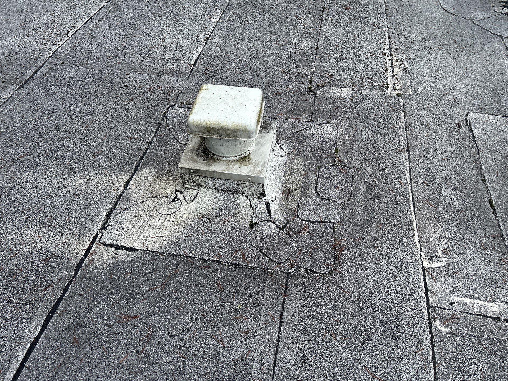 Project in Kirkland by Connolly Construction Company