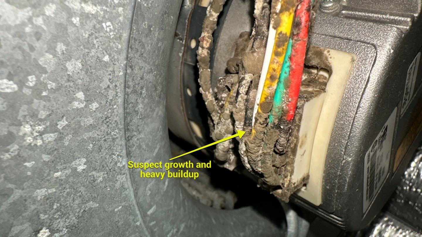 Air Duct Cleaning in Tavares by Hygienic Air, Inc
