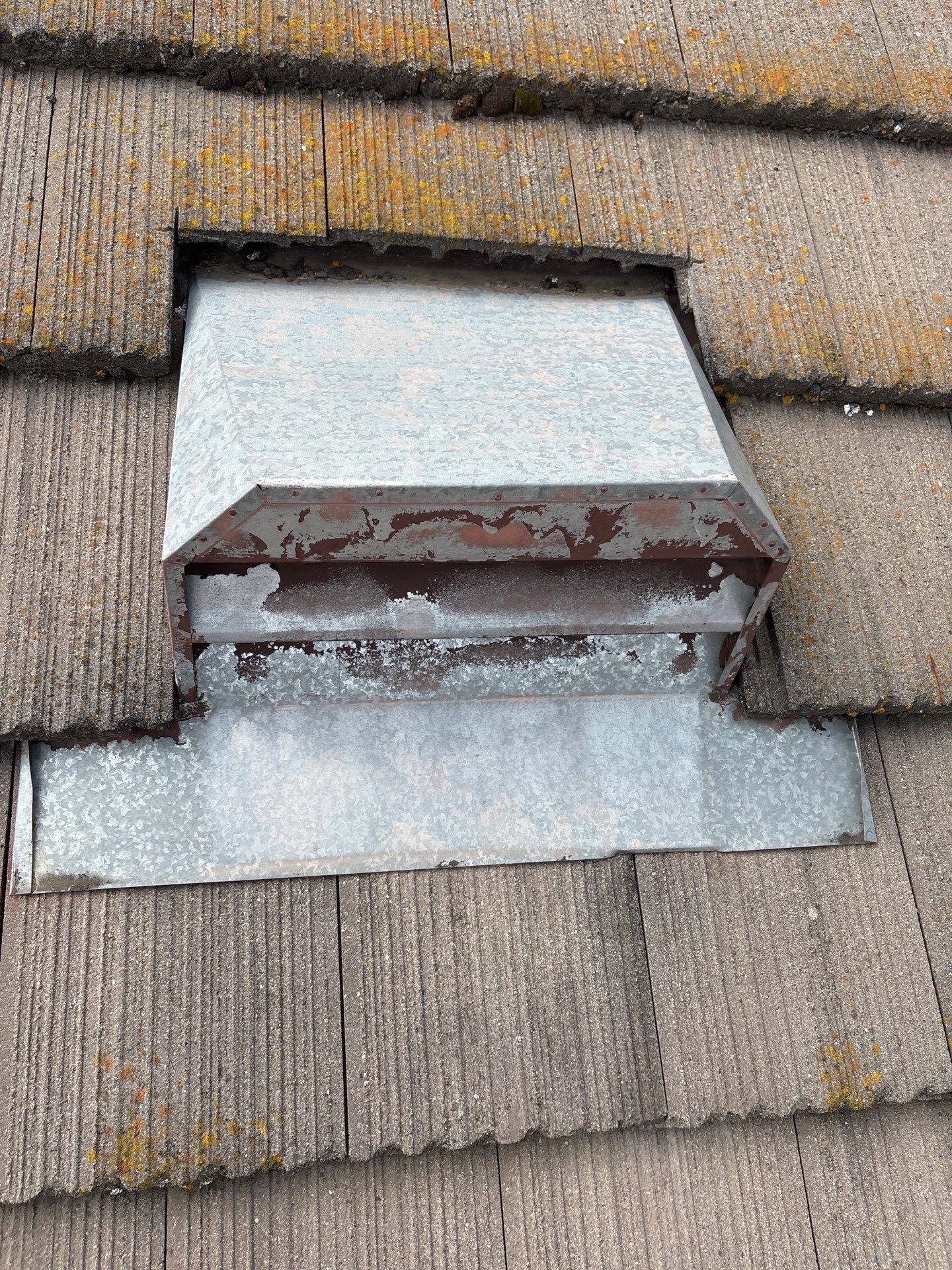 Moss Removal by Top Elevation