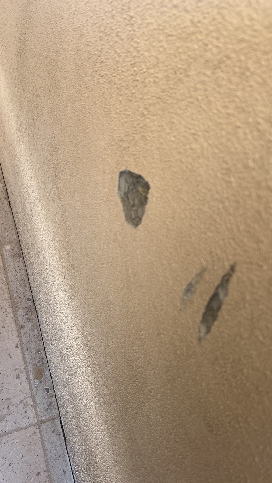 8,600 s.f. Single Family Home in Paradise Valley Arizona 85253 by Crash of Rhinos Painting & Garage Floors