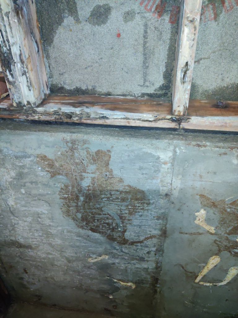 Mold Remediation in Bathroom by Accountable Home Services
