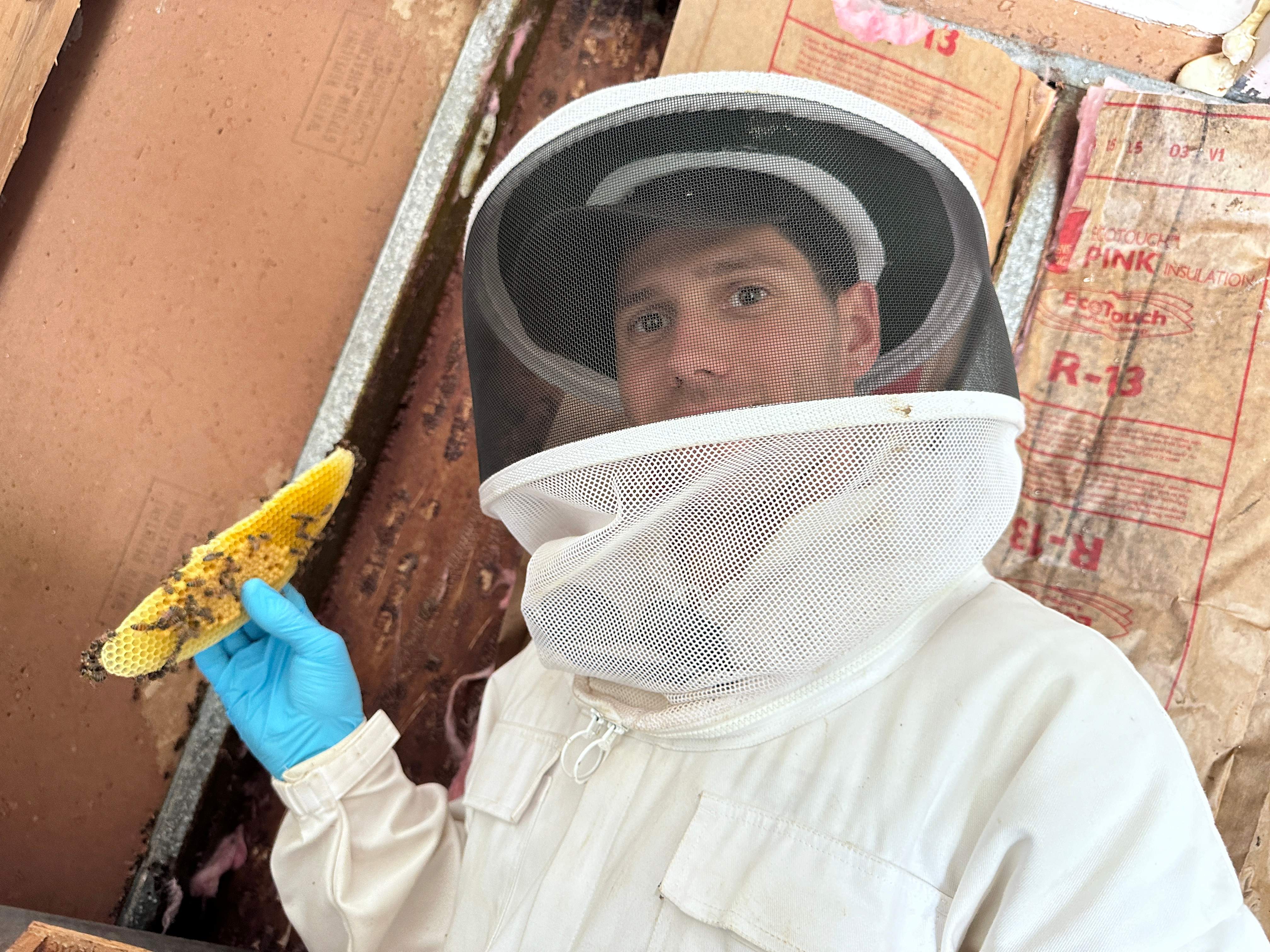 Two Colonies, One Property by Rockwall Honey Bee Company