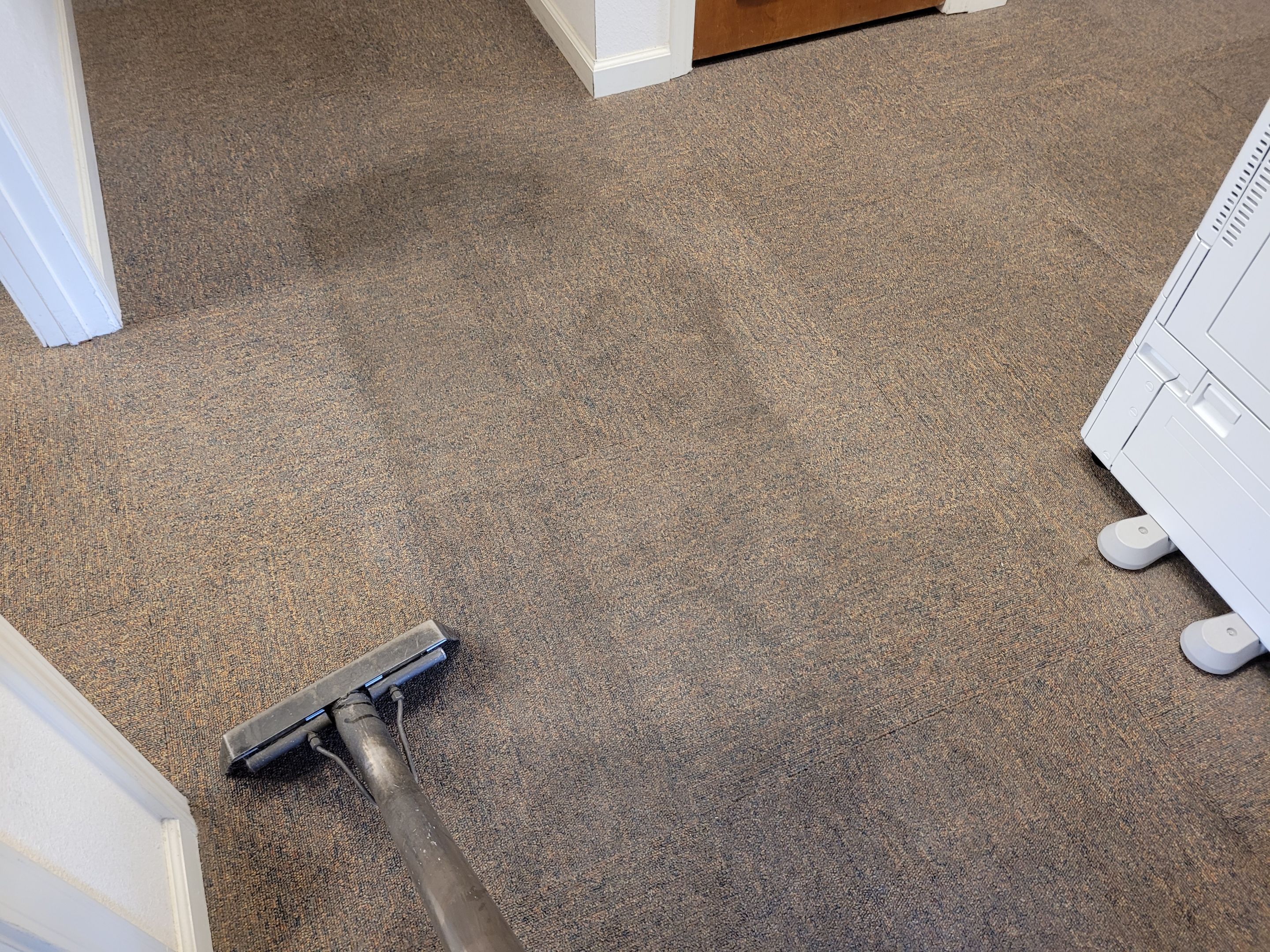 Rocklin Church, Carpet Cleaning by Ardent Carpet Restore LLC