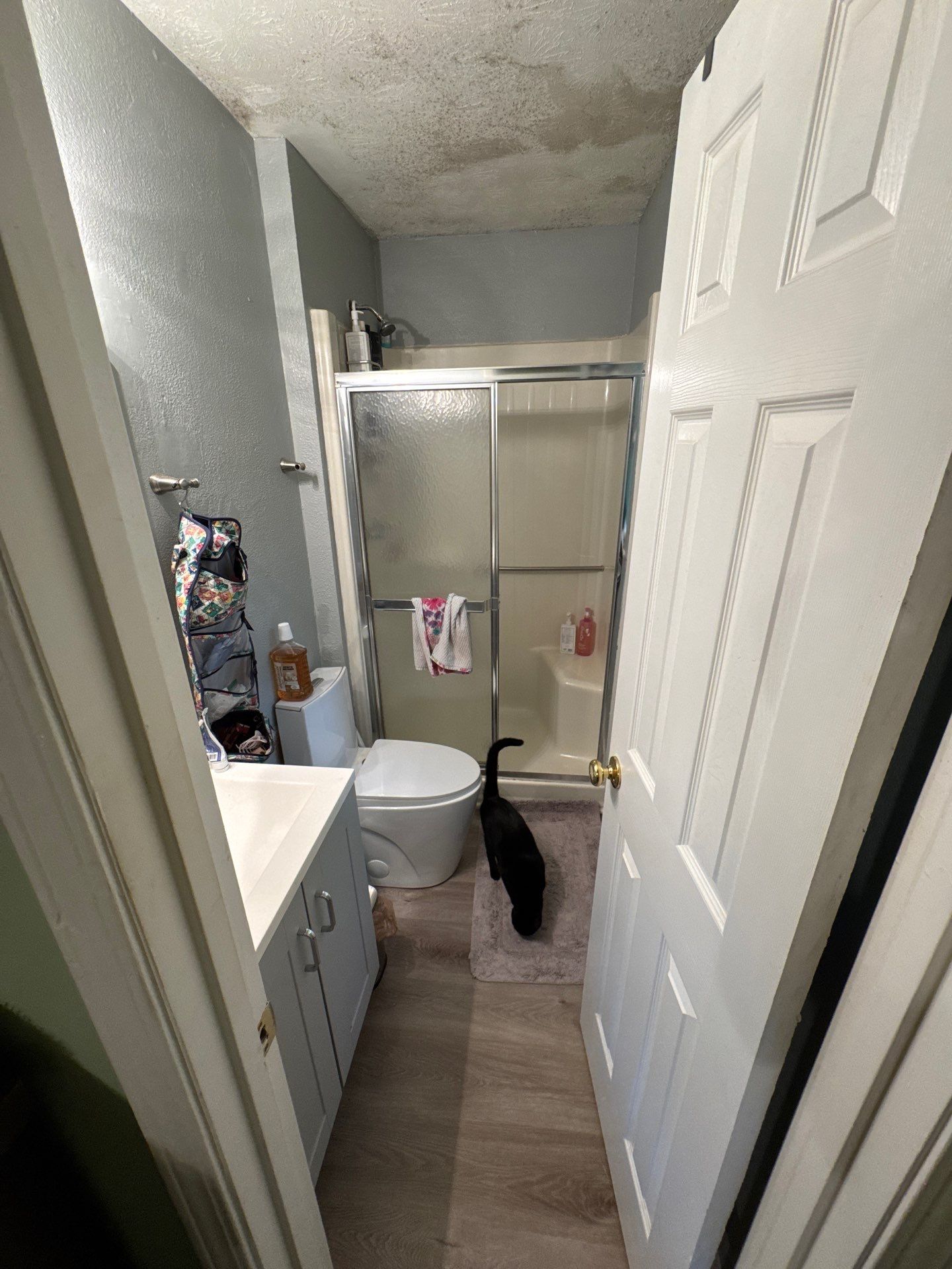 Bathroom renovation by Prudencio