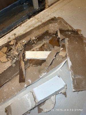 Appliance Leak Cleanup — Bonita Springs, FL