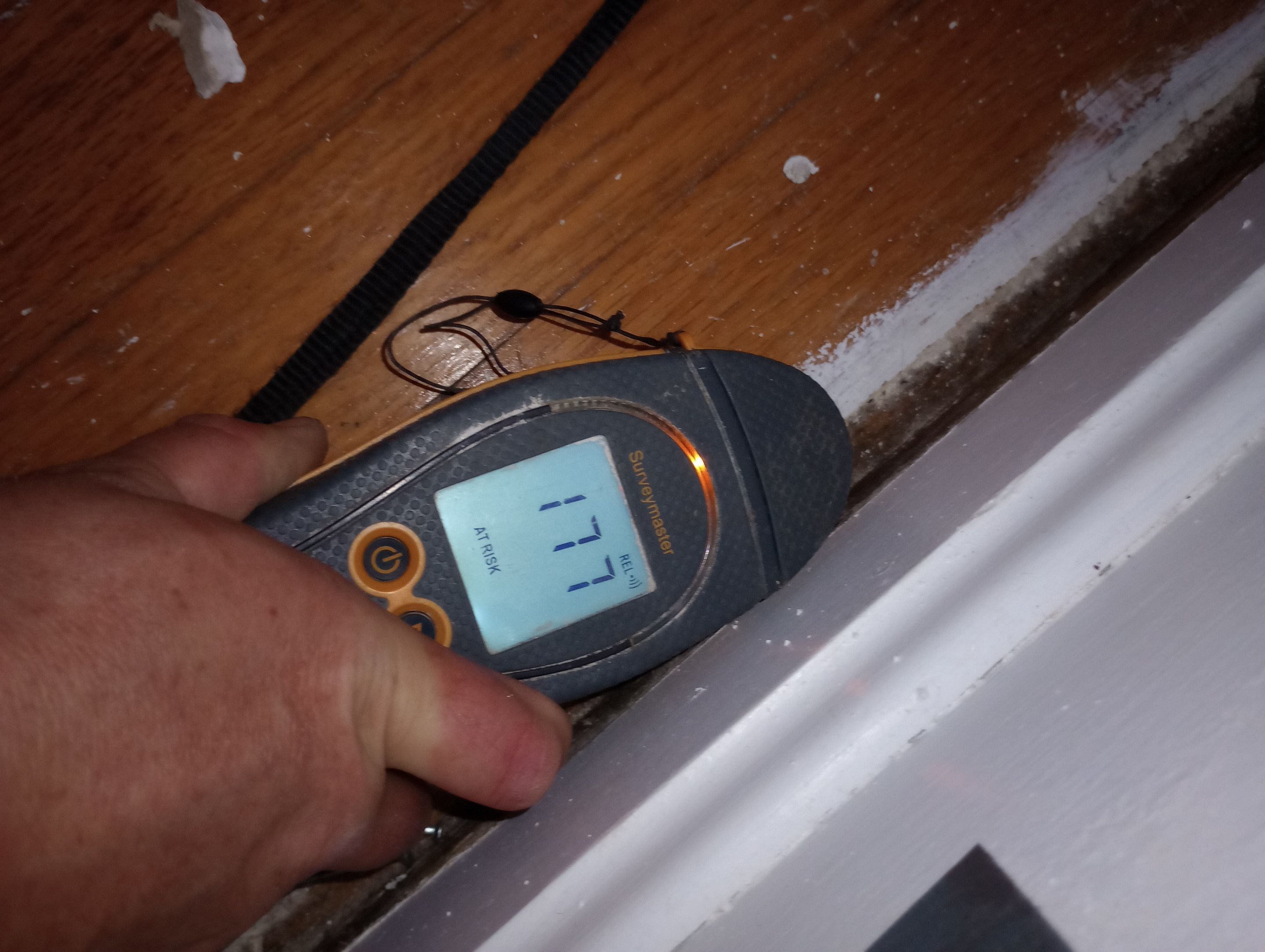 Mold Remediation Estimate in Crawlspace by ANR Restoration