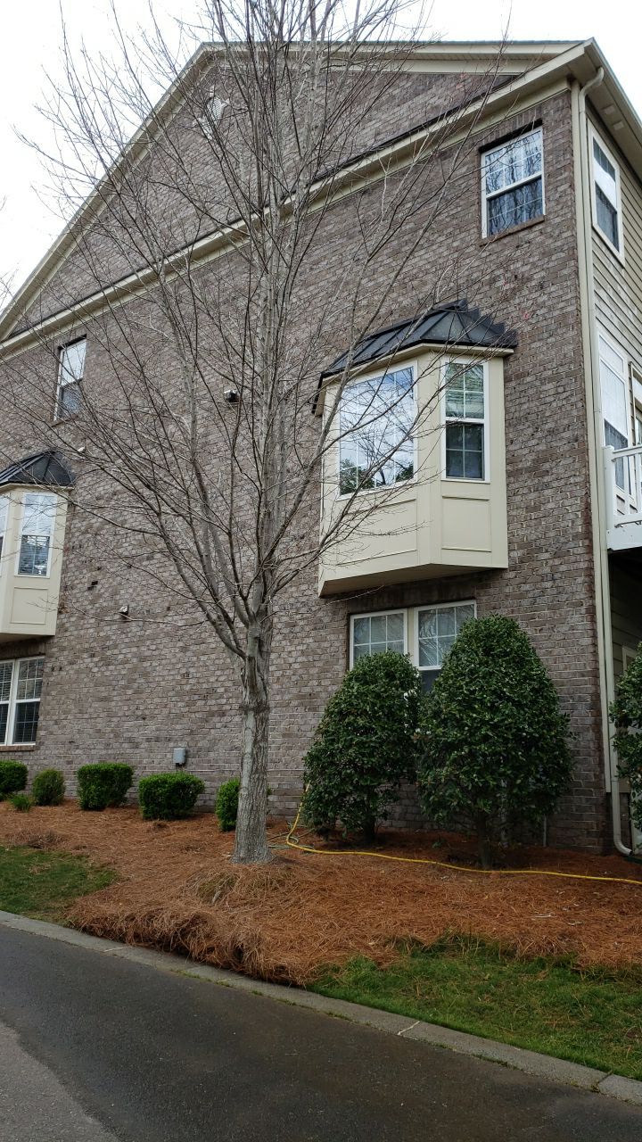 House Wash using cleaner by Power Wash Masters LLC