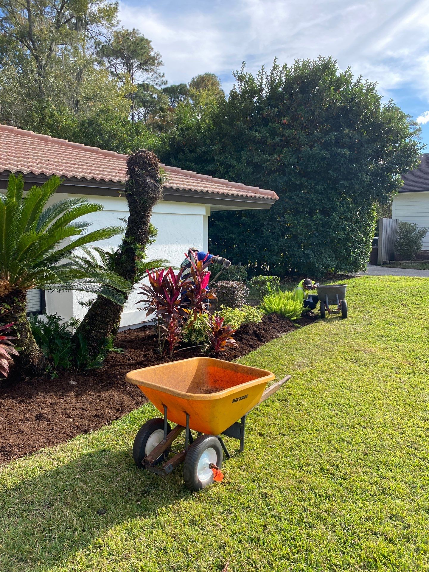 Deerwood Residence | Sod Repair & Mulch Installation  by ProGreen Services