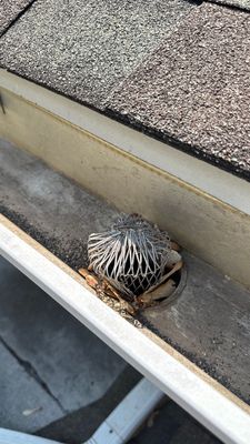 Turtle Shell gutter protection installation in Naperville, IL 60540, photograph 4