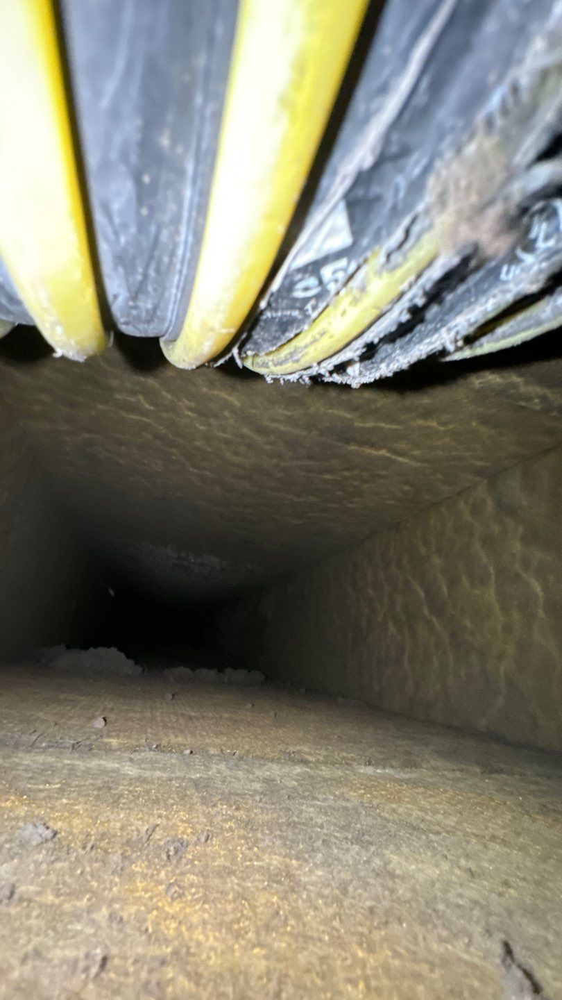 Air Duct Cleaning in Orlando by Hygienic Air, Inc
