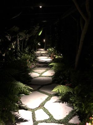Outdoor AV and Landscape Lighting in Malibu