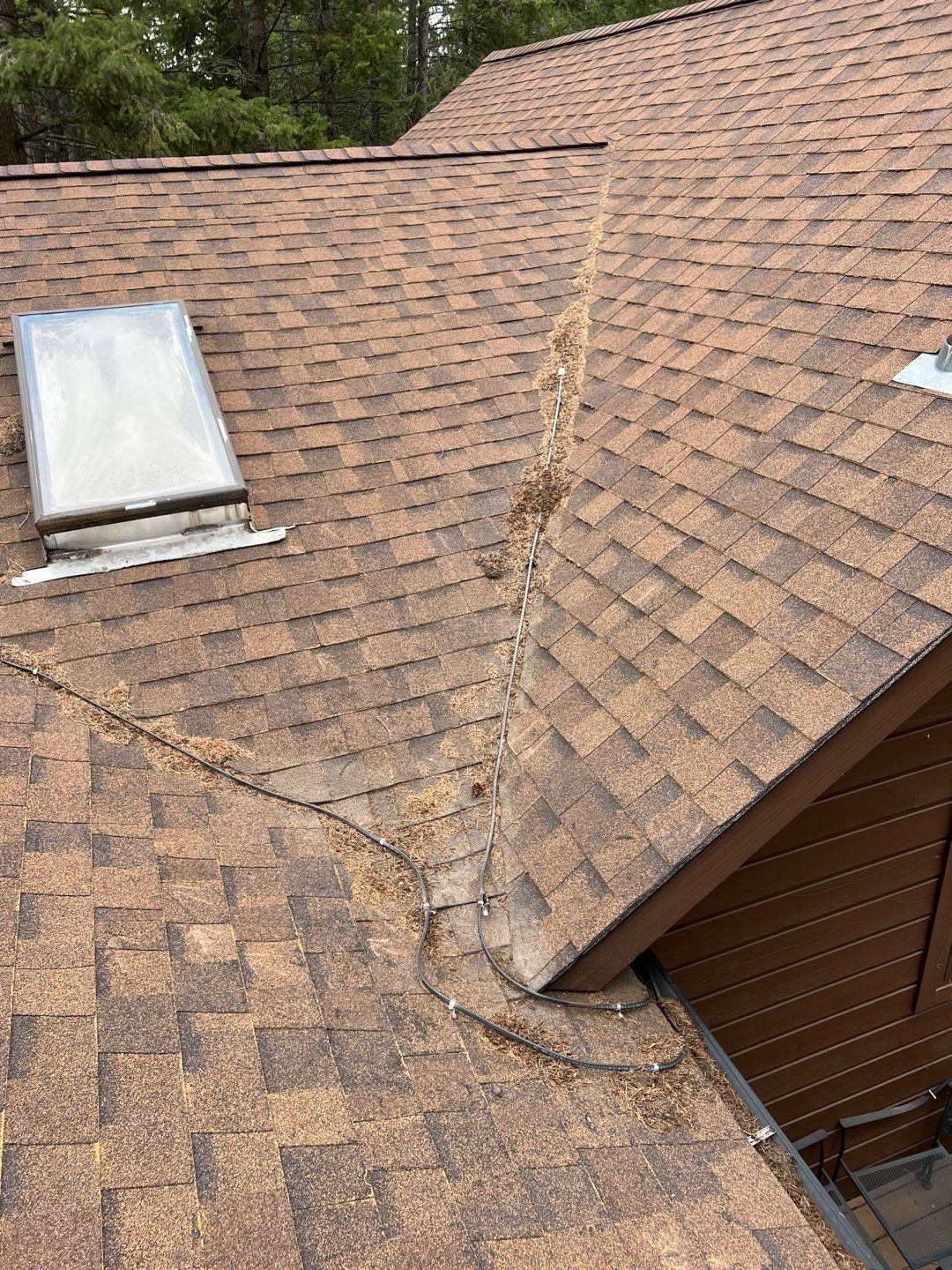 GAF Timberline HDZ - Hunter Green by Montana Roofing Solutions