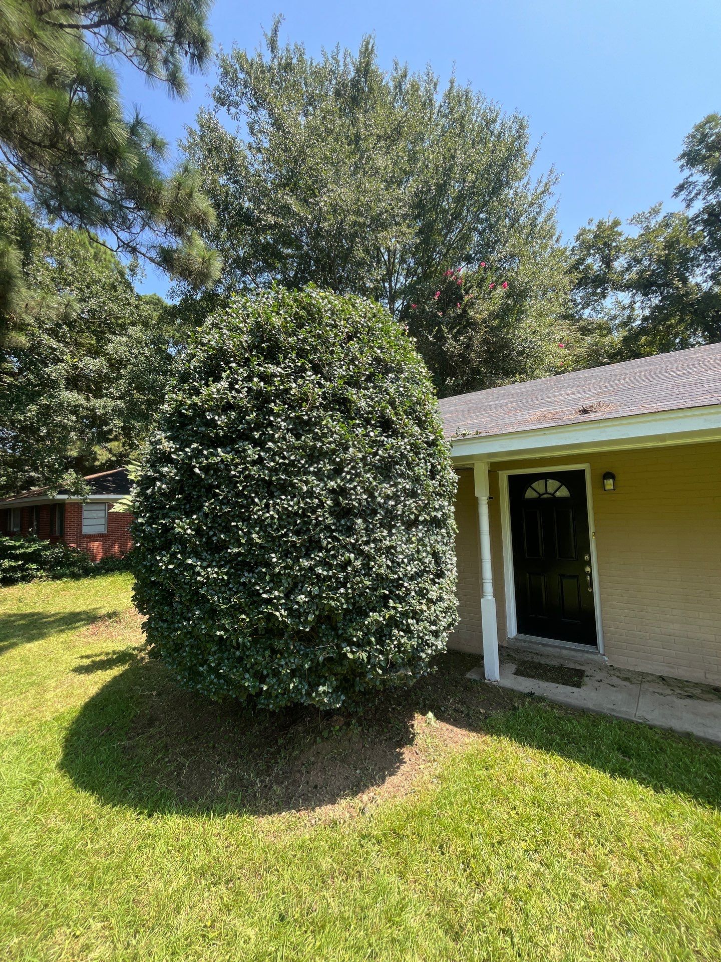 Yard Makeover by College Bros Outdoor services