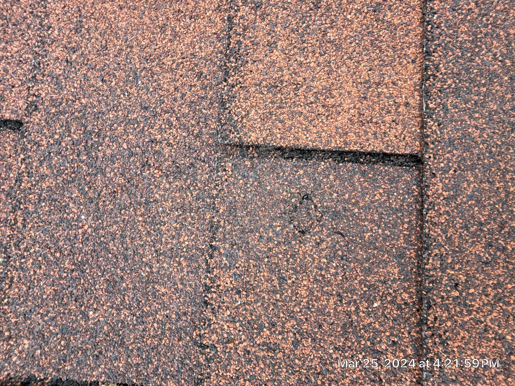 Storm Restoration- Owens Corning Tru Def Duration Terra Cotta for the Color. by Berry Good Roofing