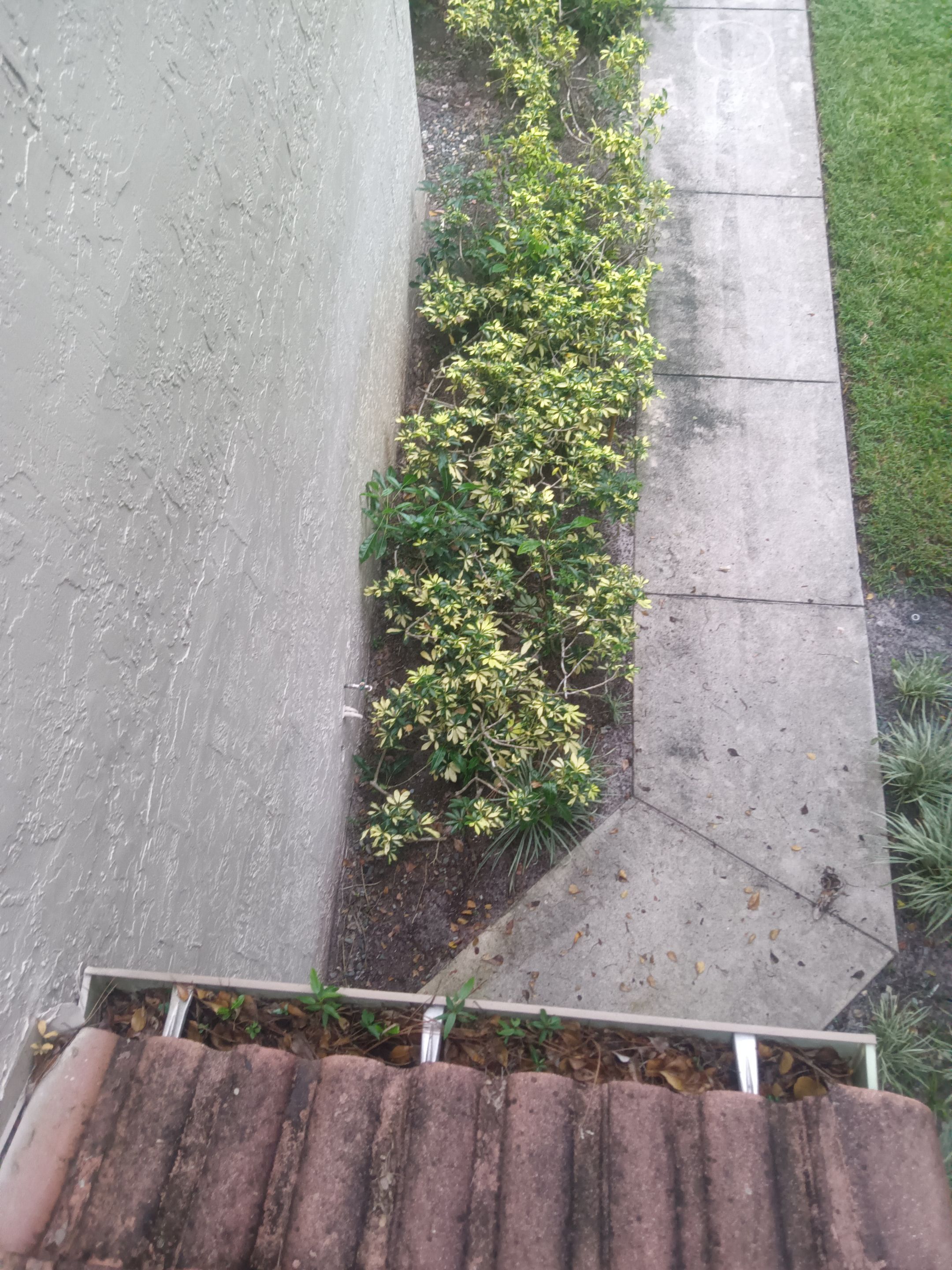 Commercial gutter cleaning Boca Raton & Delray Beach, FL before photo with filled gutters