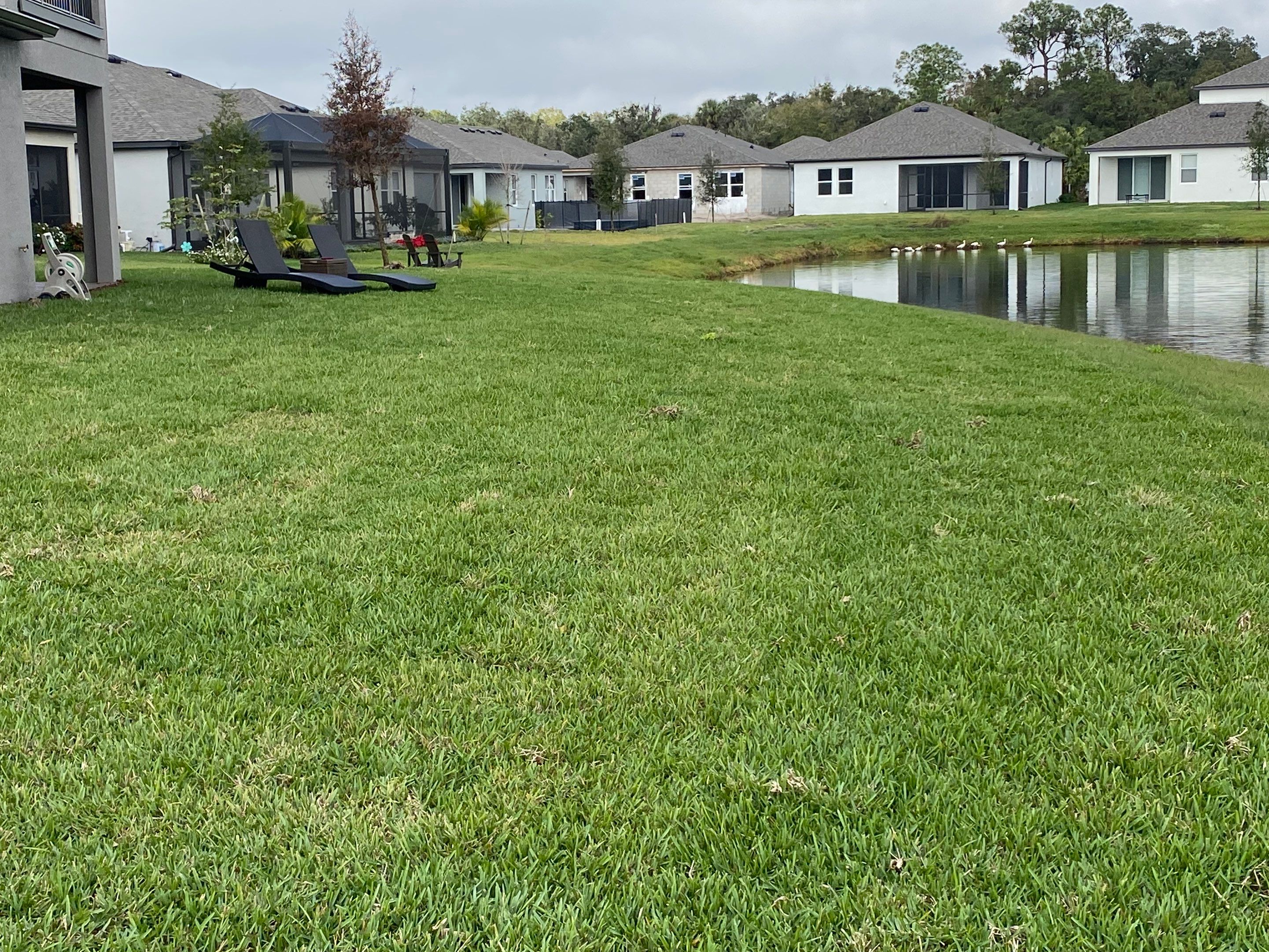 Parrish, FL 4 ft. Tall 3-Rail Black Aluminum  by Asap fence and gates, LLC
