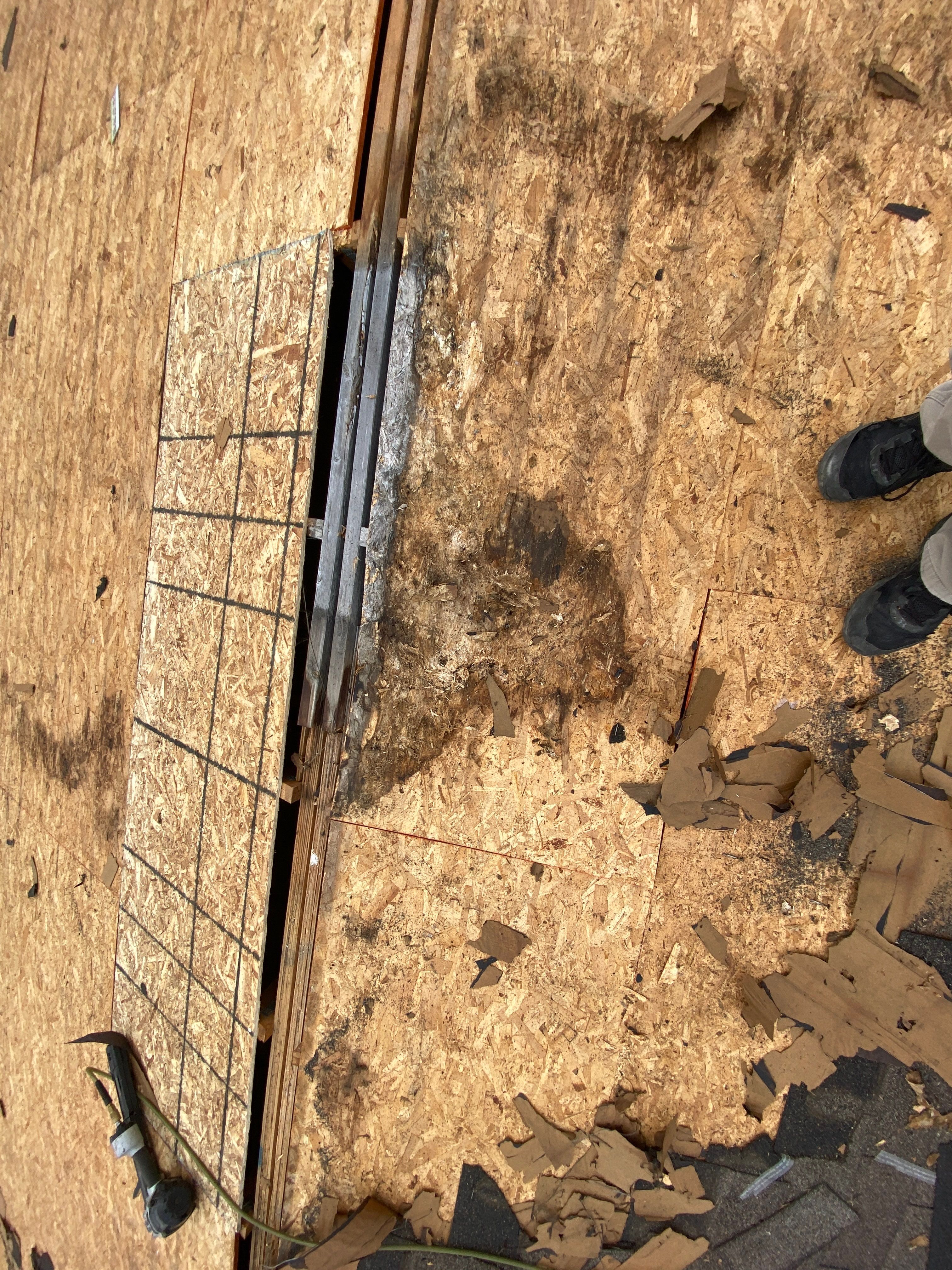 Roof Replacement using CertainTeed Landmark by 180 Contractors