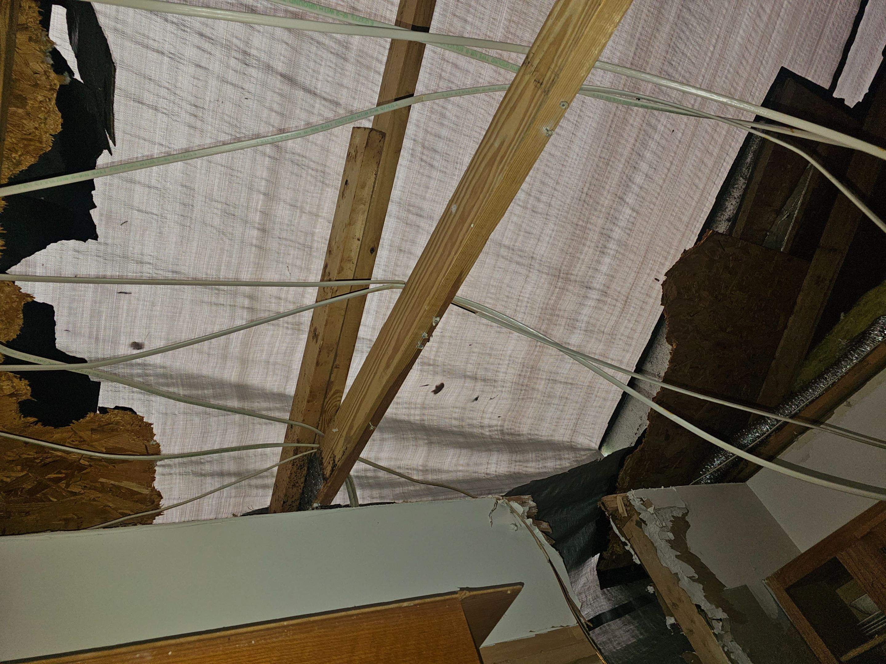 Tree Damage  by Ajayi Design and Construction 