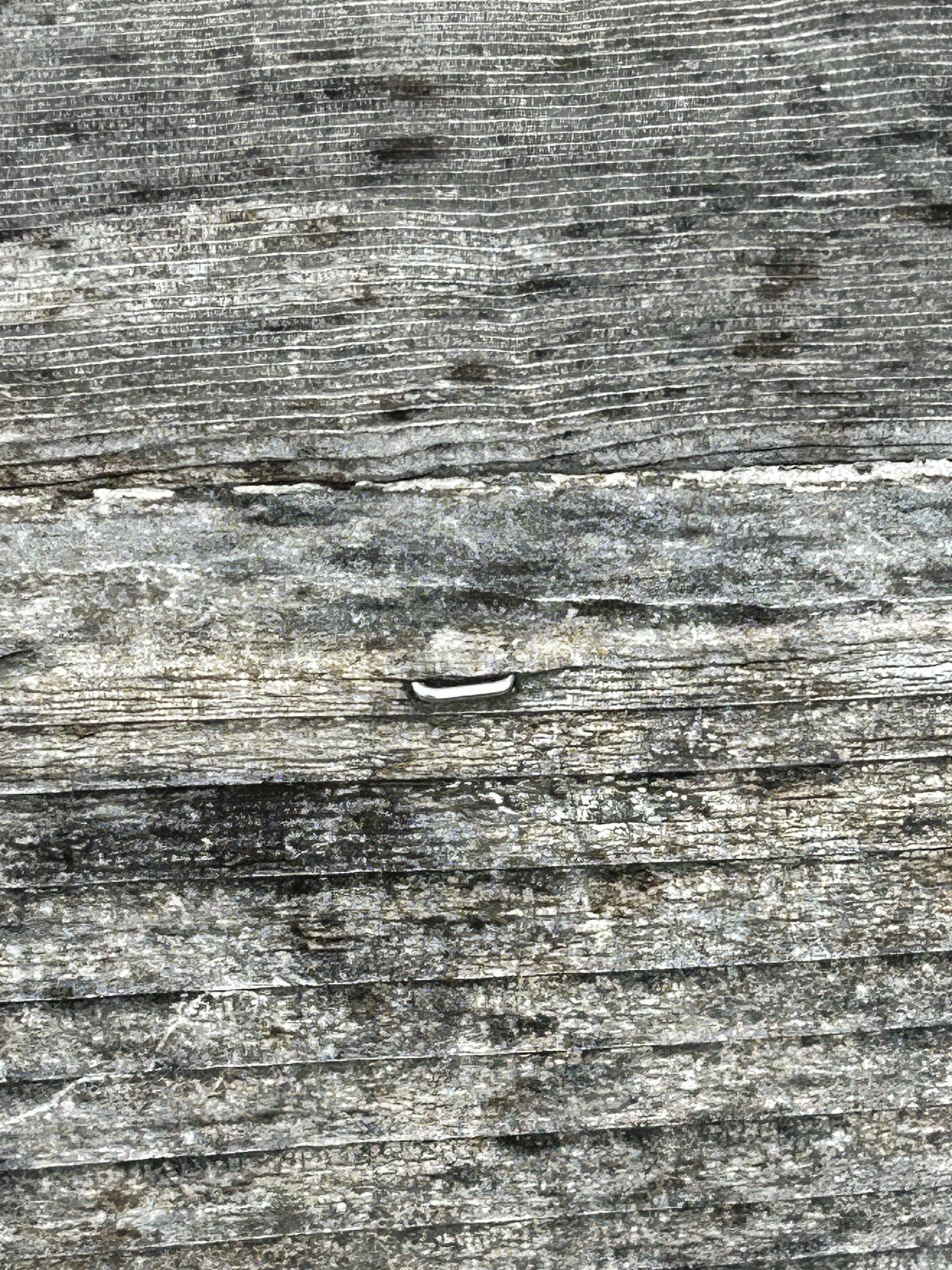 Project in Seattle by Connolly Construction Company