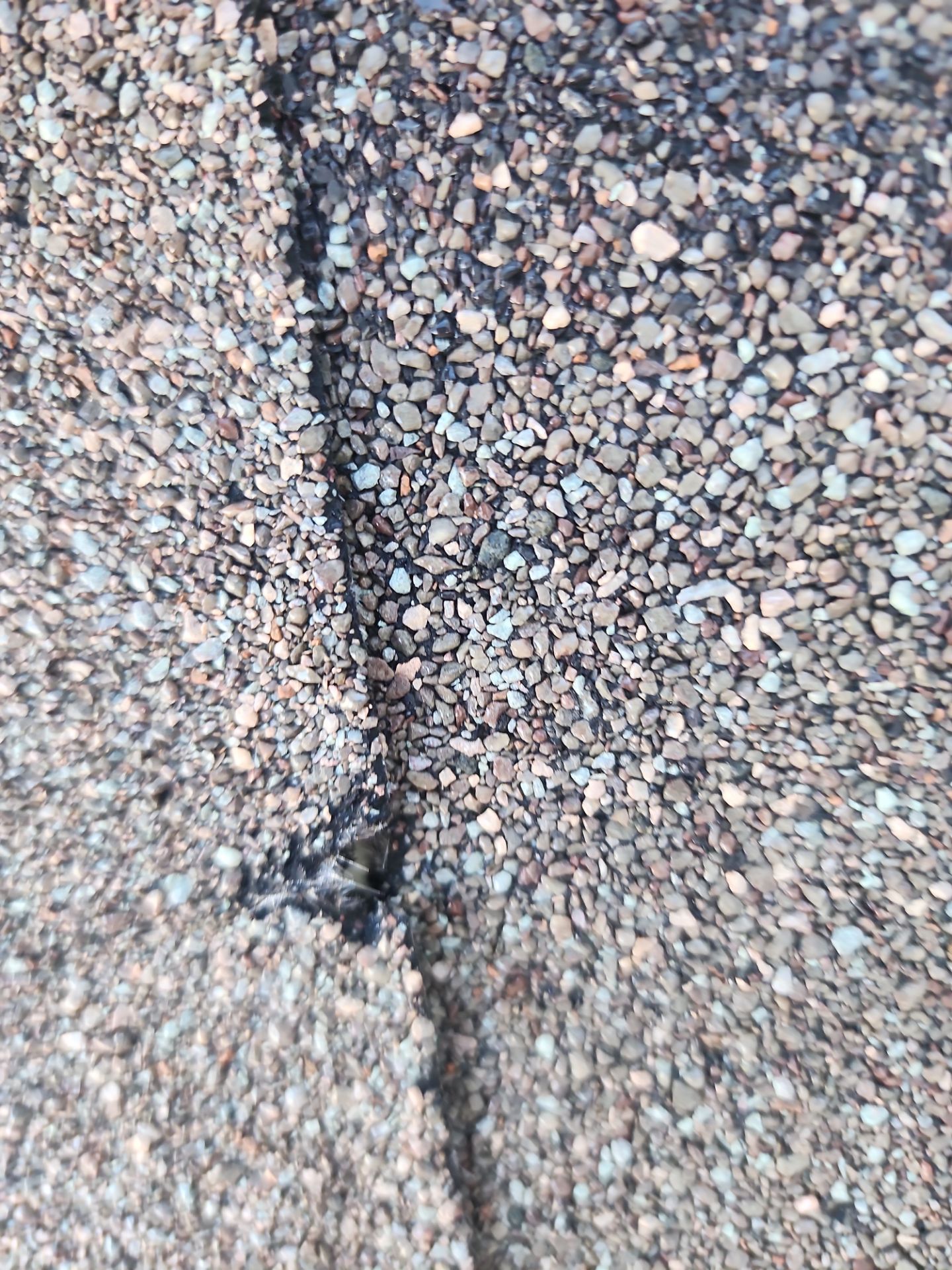 Roof Repair Houston by Roof Repair Company