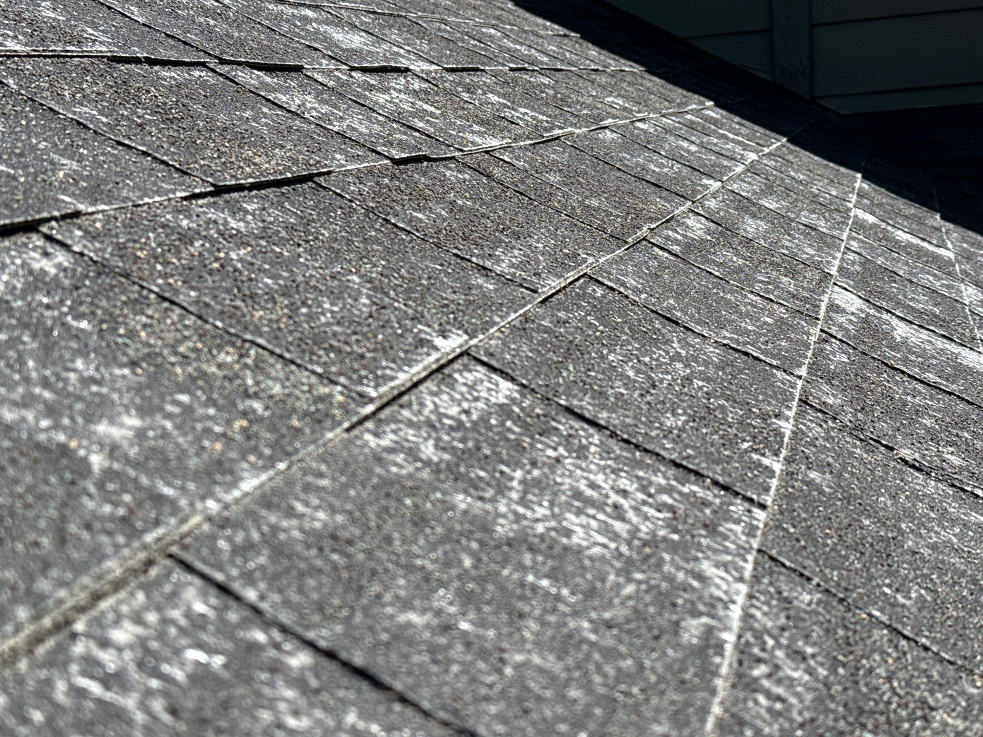 Boise Residential Roof Replacement Featuring Multi-Toned Architectural Shingles by Olive Roofing