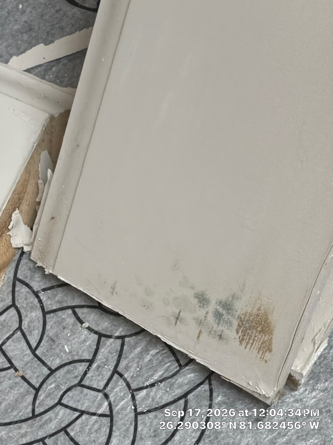 Water Damage Mitigation and Mold Remediation for Naples Residence by Microscope