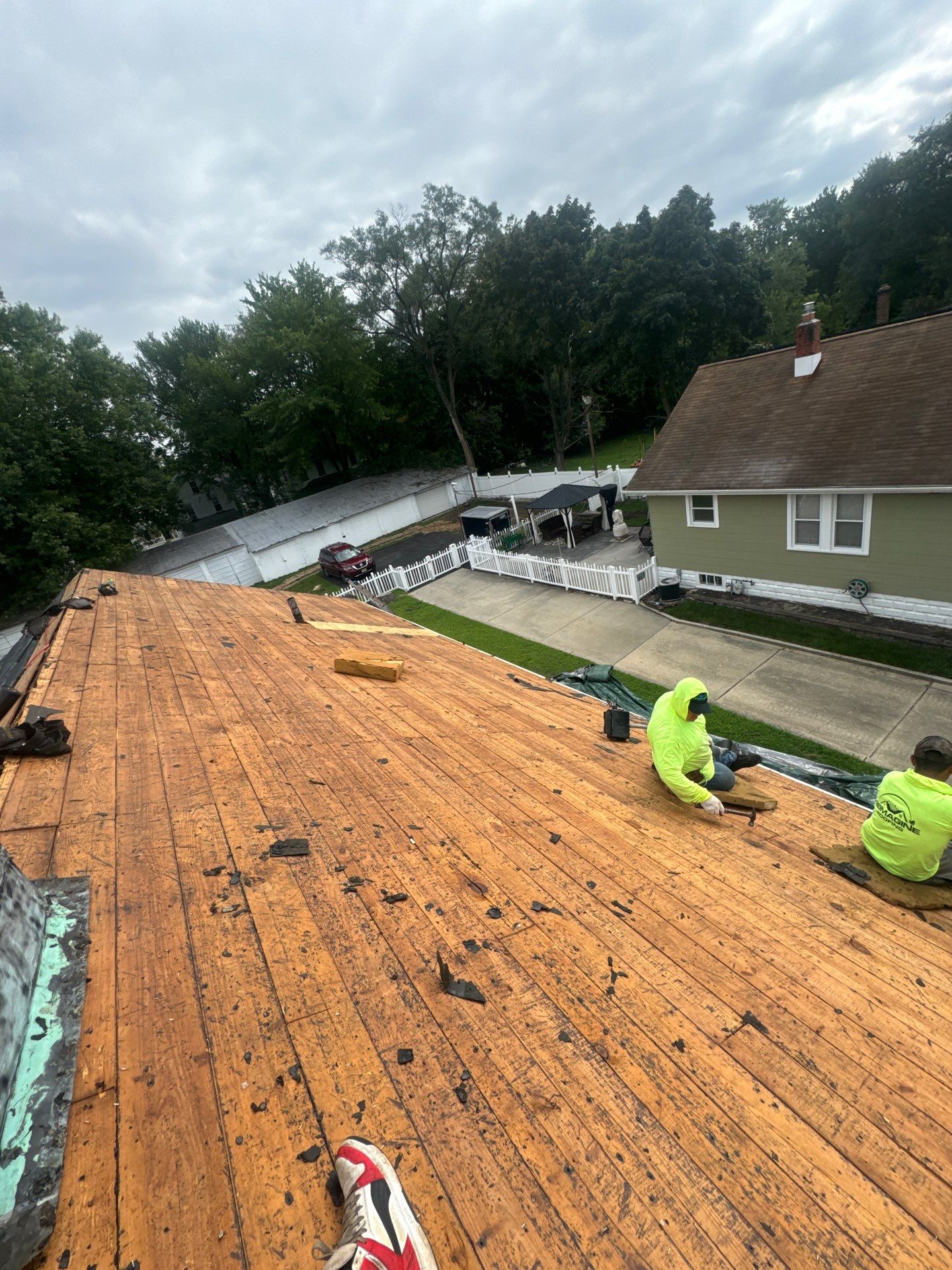 Tamko Shingles by Reimagine Roofing