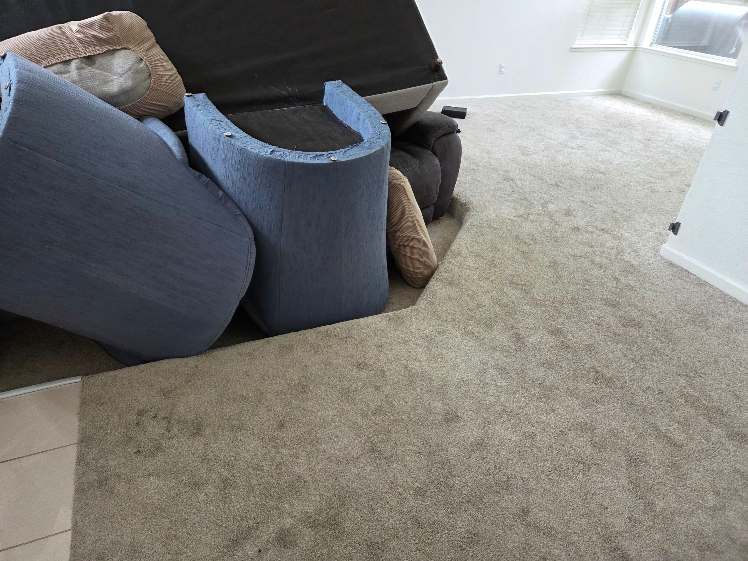 Carpet Cleaning and Pet Treatment by Ardent Carpet Restore LLC