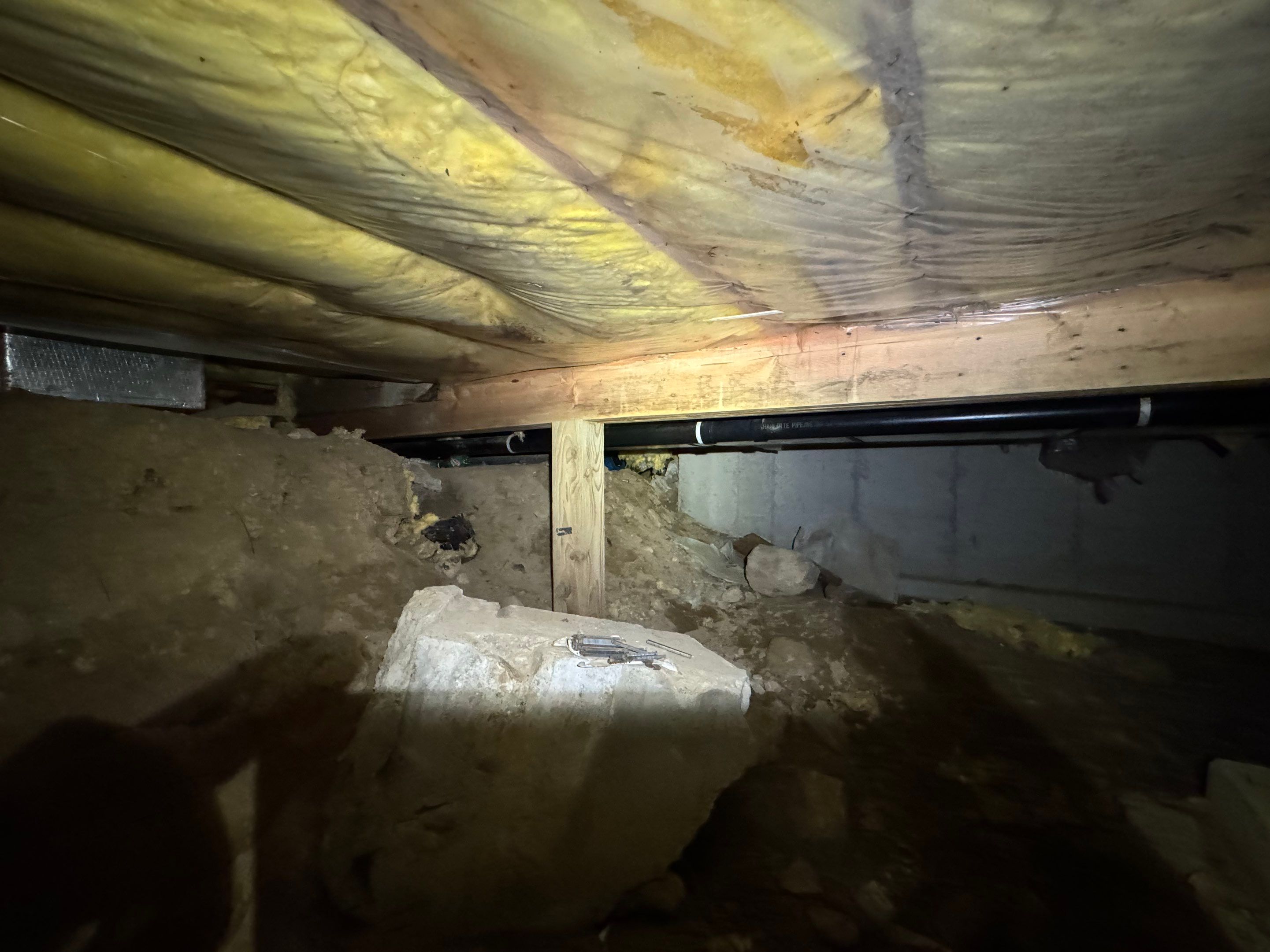 Mold Remediation (Basement) using Home Guarantee by Home Guarantee, LLC