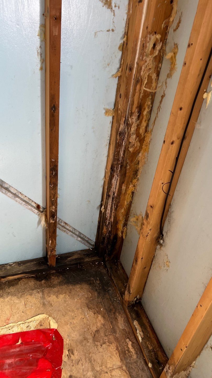 Water Damage and Mold Remediation by Accountable Home Services