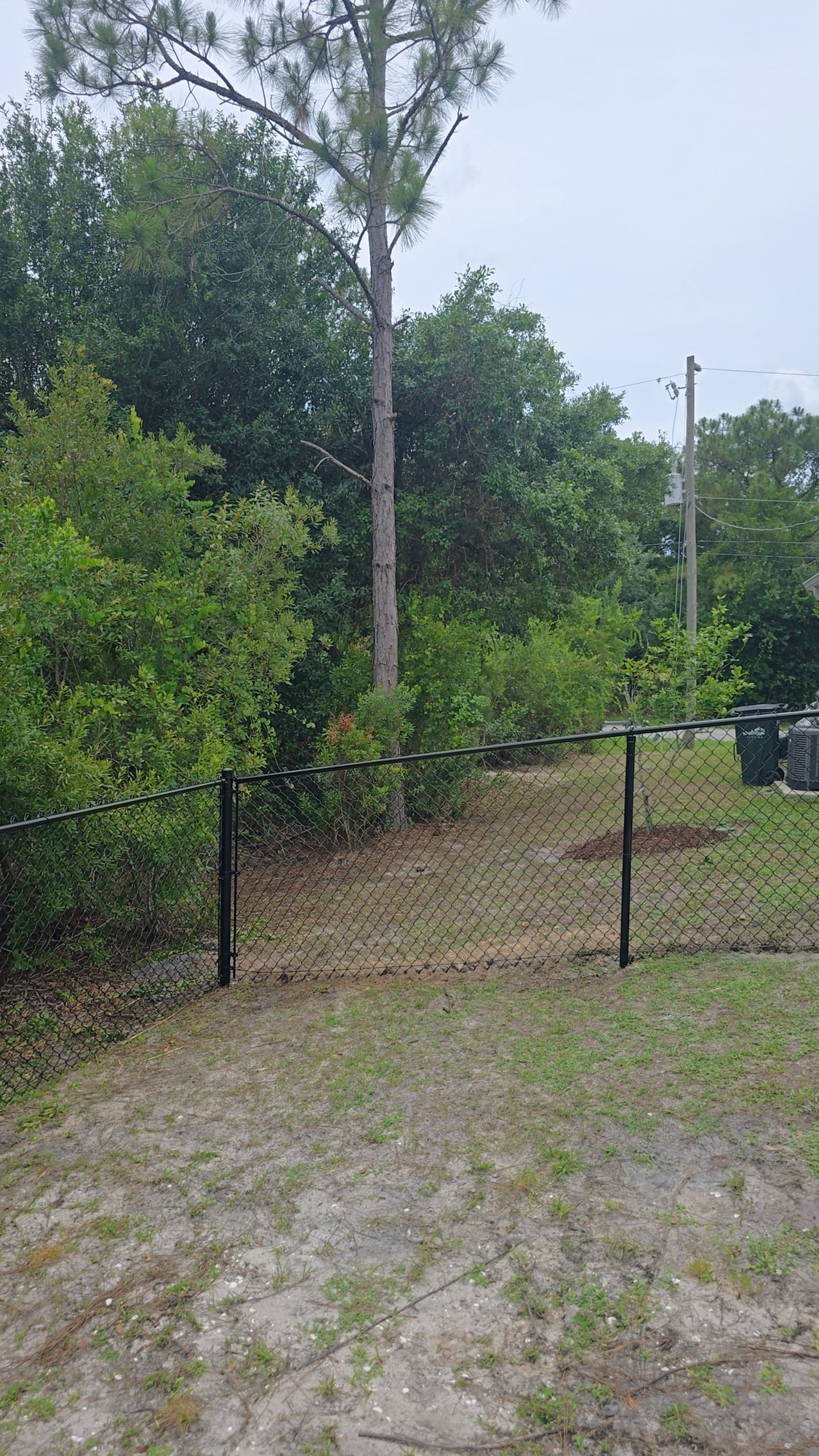 Residential Black Chain-Link Fence Installation in North Port by True Fence LLC