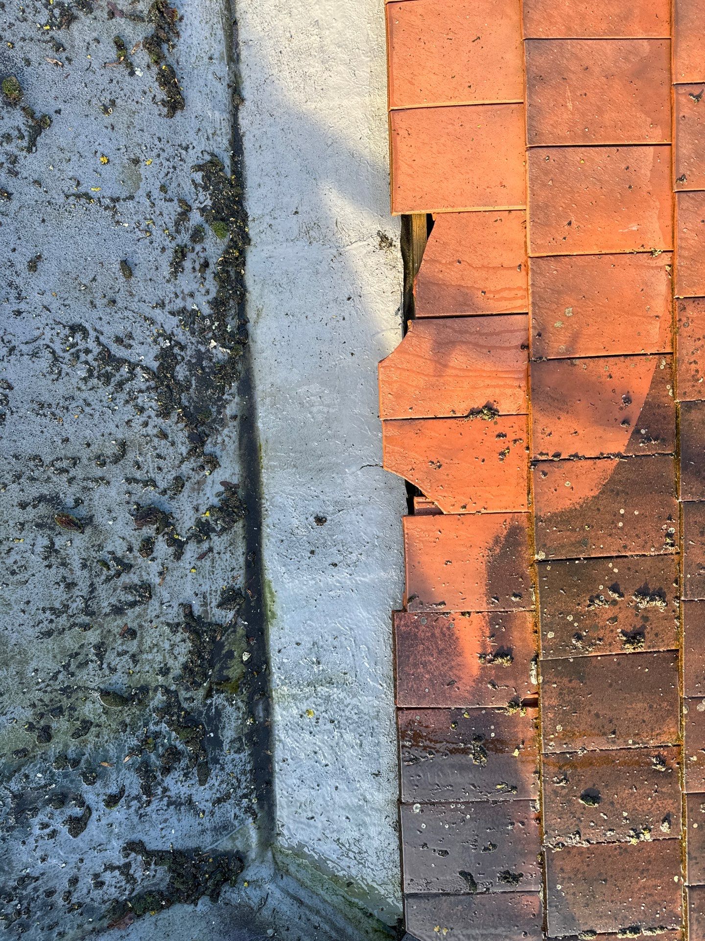 Large Care Home Roof Clean using Mosmatic FSC and Biocide by Ges Exterior Cleaning ltd