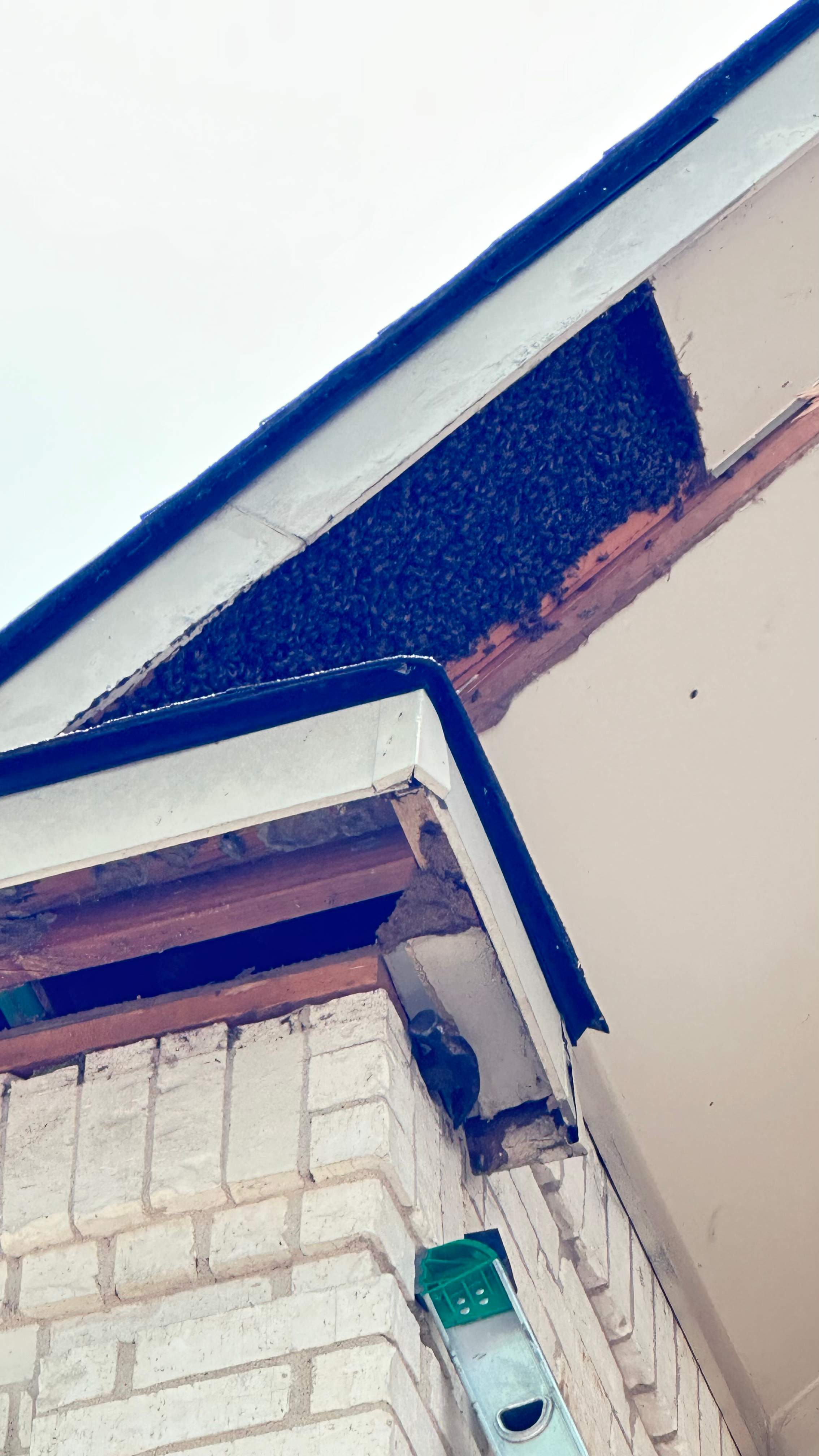 Tall Soffit by Rockwall Honey Bee Company