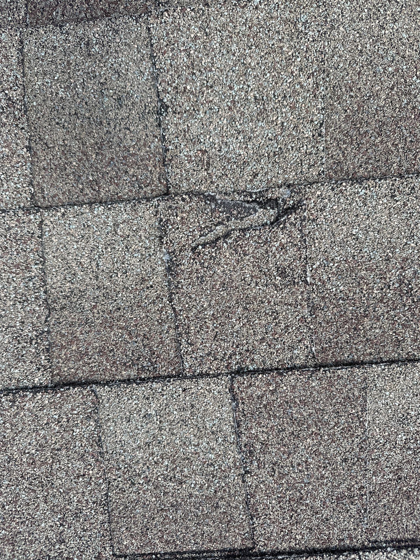 Roof Damage  by Zeus Exteriors
