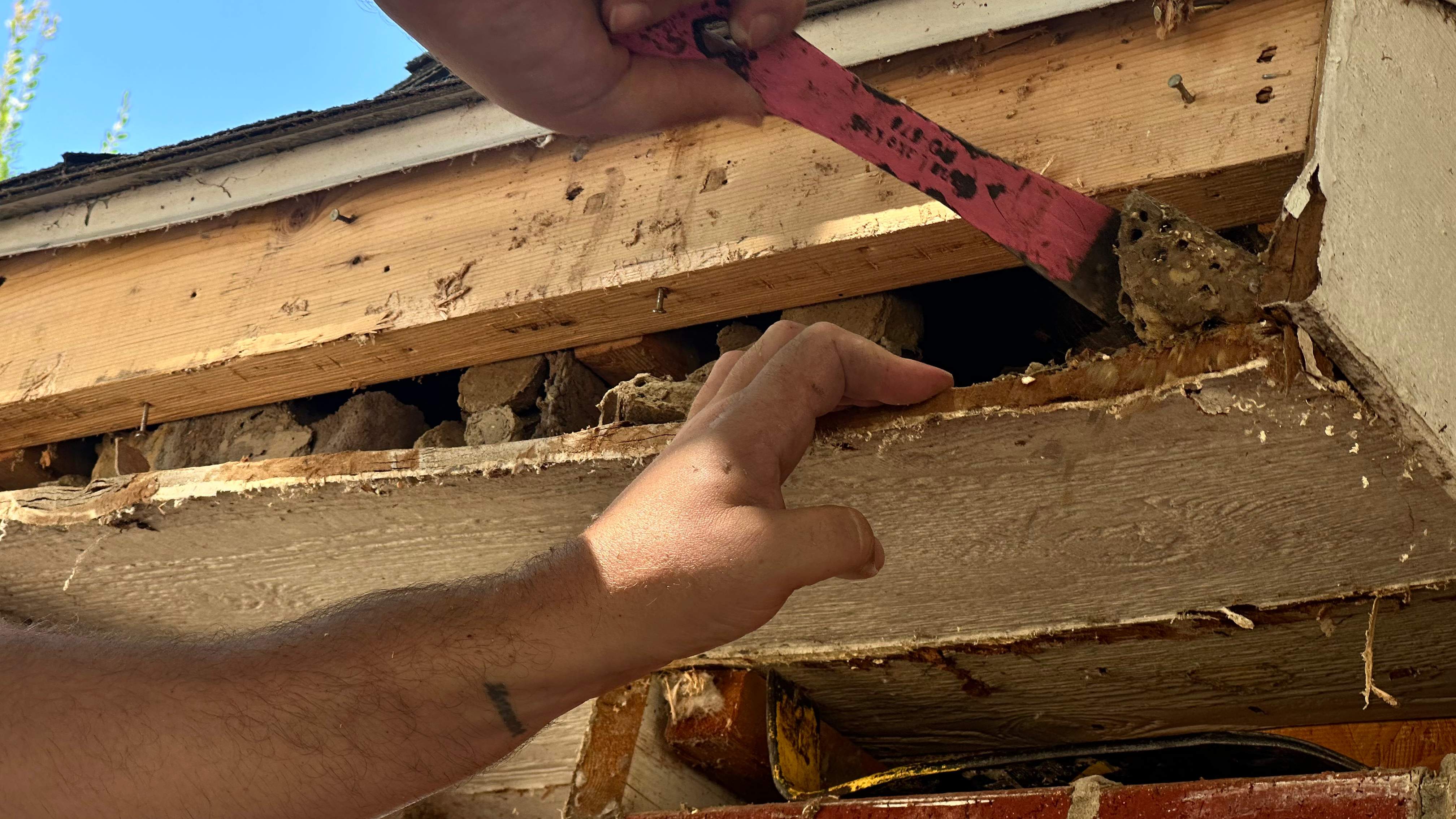 Soffits! by Rockwall Honey Bee Company