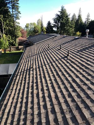 Project in Everett