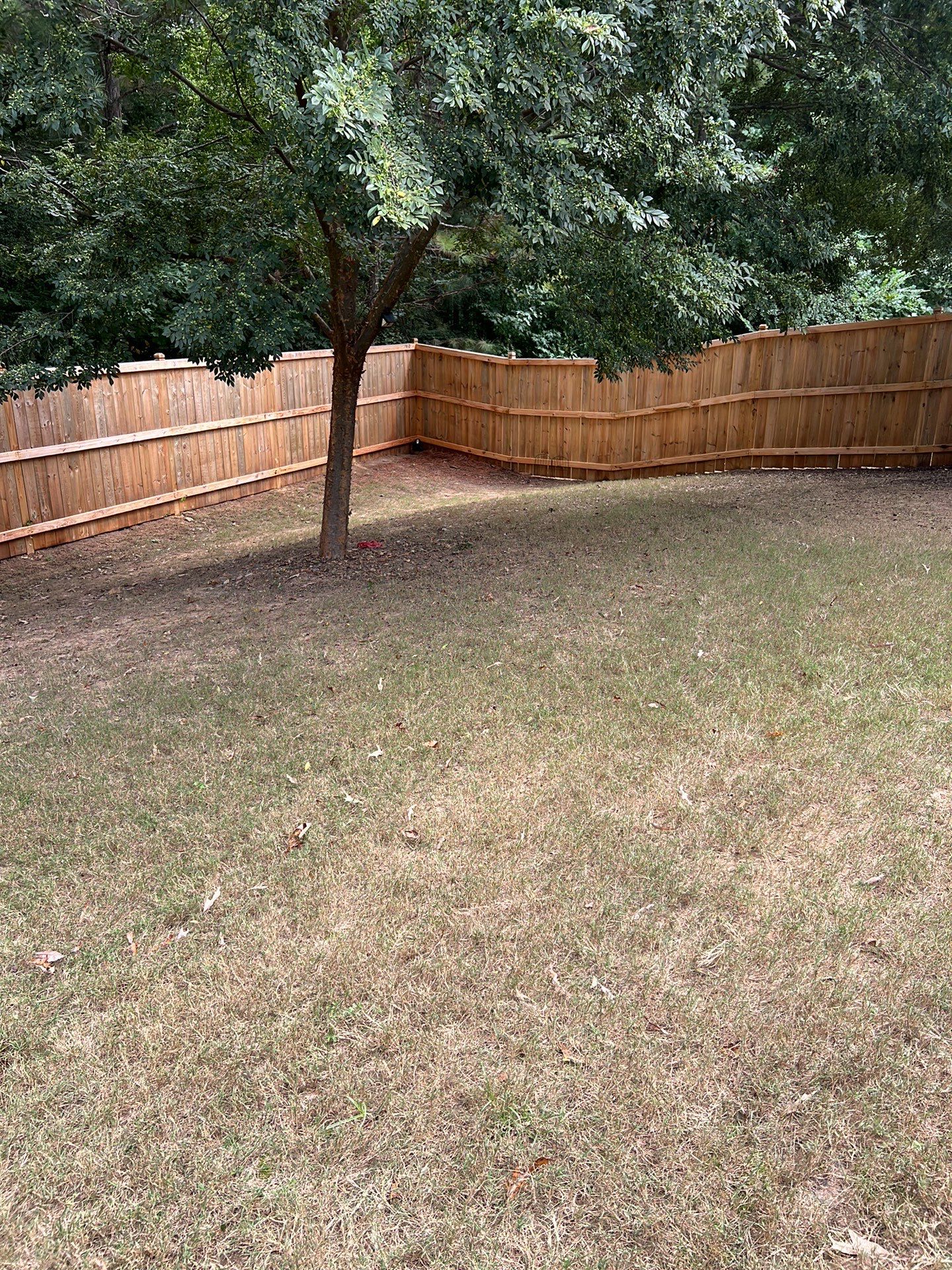 Fence Staining using Pecan by SSE by Titans of Timber Fence & Stain