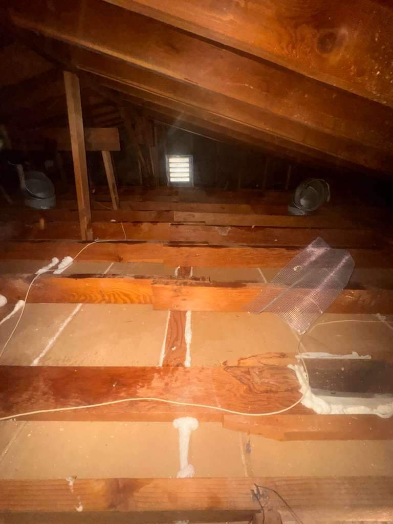 Project by Advanced Attic Solutions by Advanced Attic Solutions