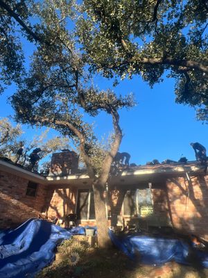 Project in Austin