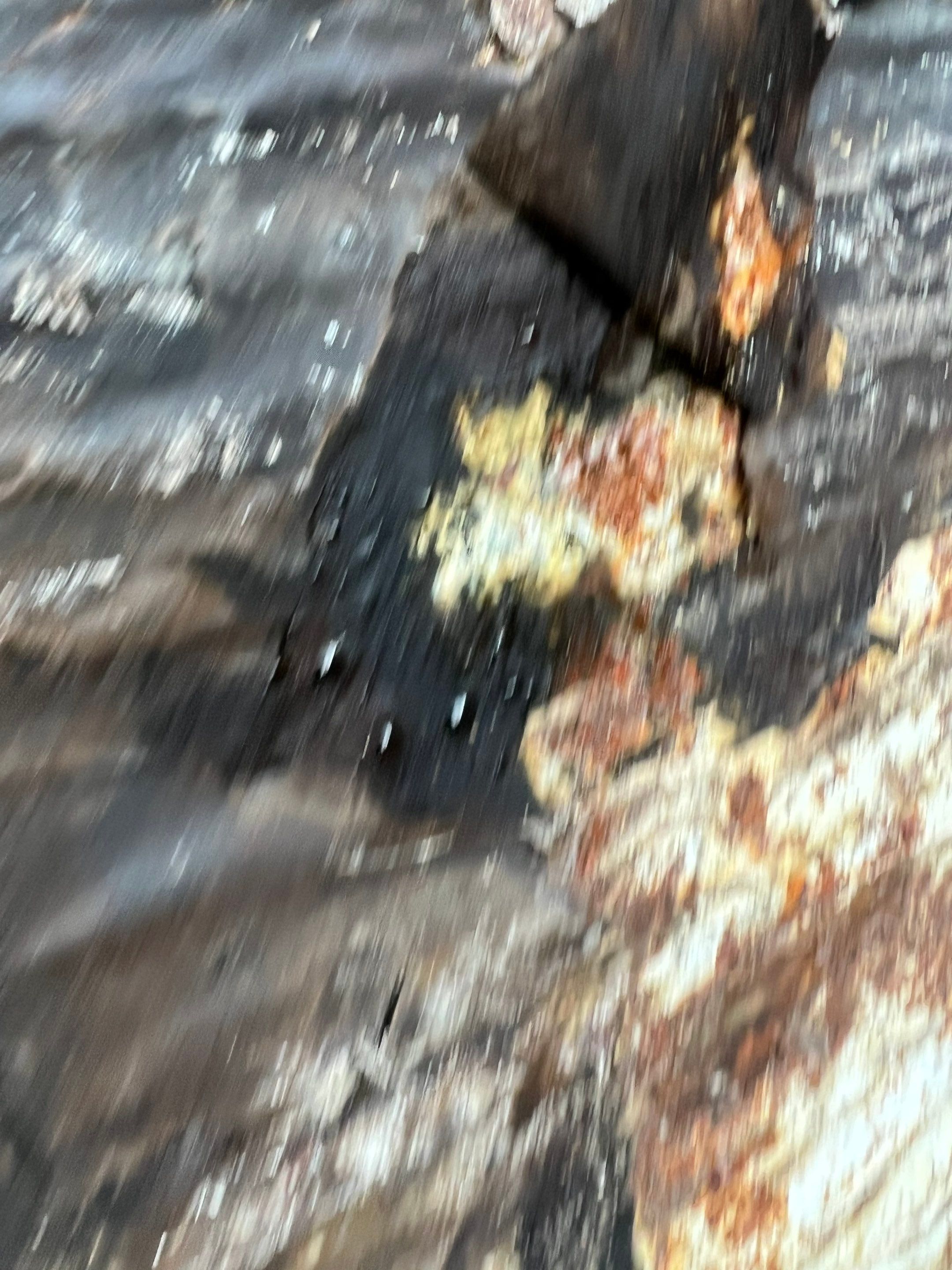 Natures Cove Rd., Dania Beach, FL by G&J Roofing 