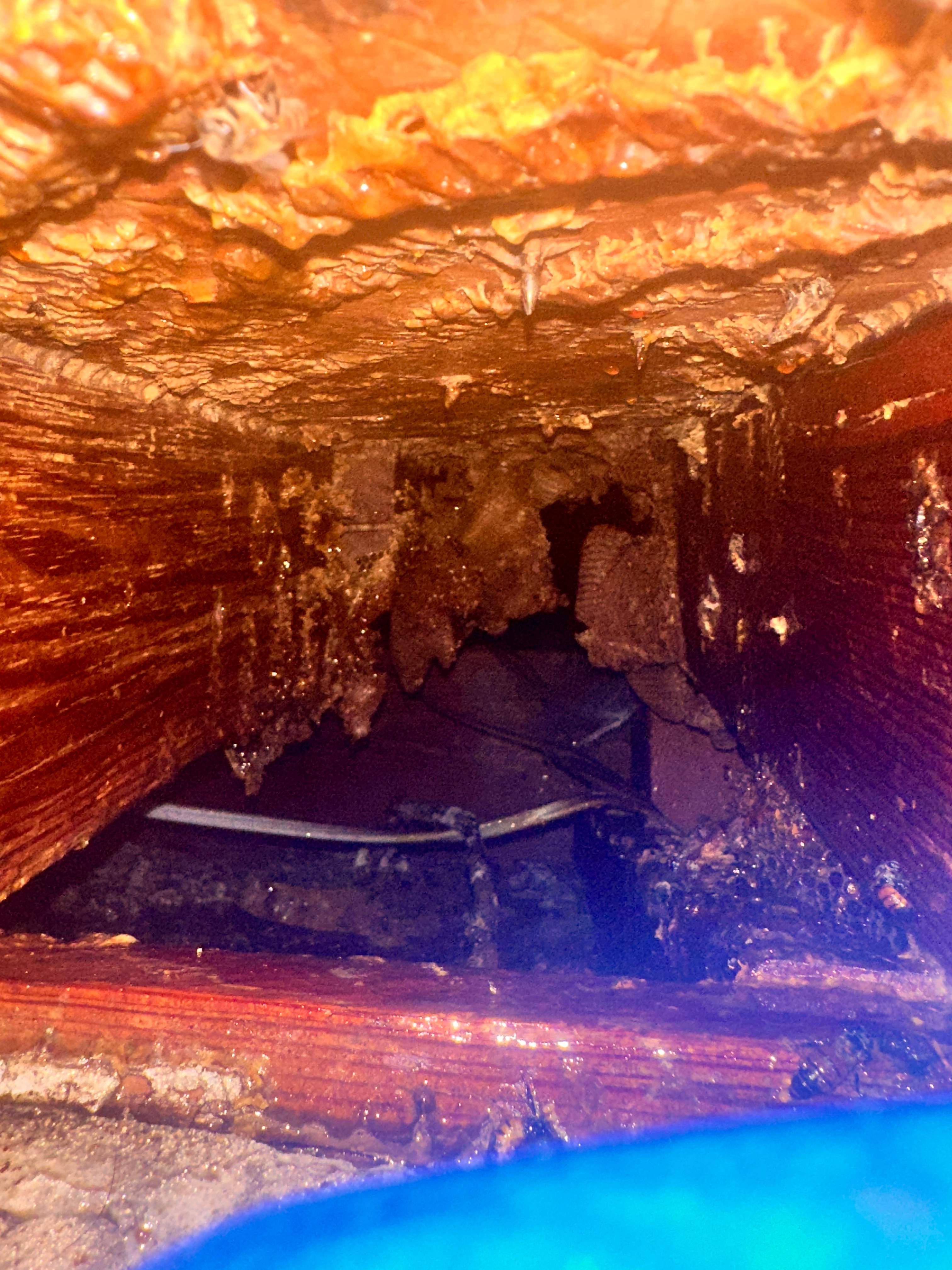 Abandoned Home by Rockwall Honey Bee Company