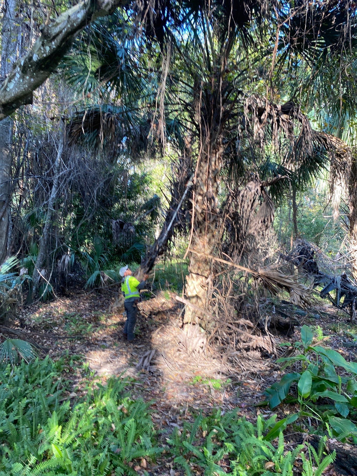 Deerwood Resident | Extreme Clean Up by ProGreen Services