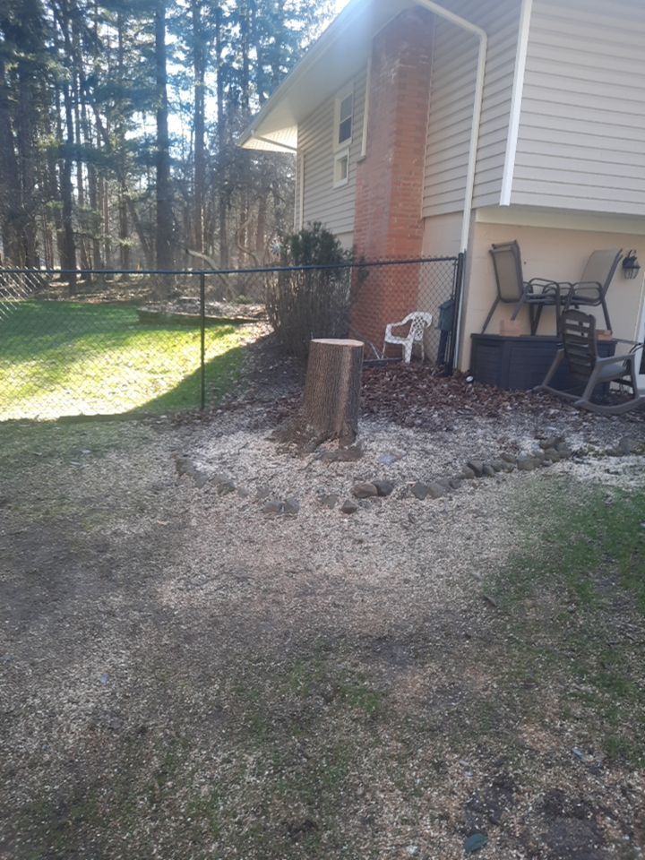 Tree Removal using Tree Removal by Mike Jones & Sons Tree Service LLC 