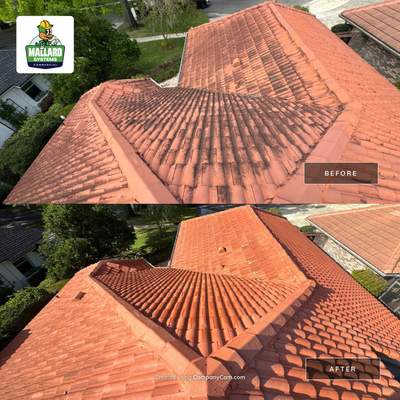 Barrel Tile Roof Cleaning