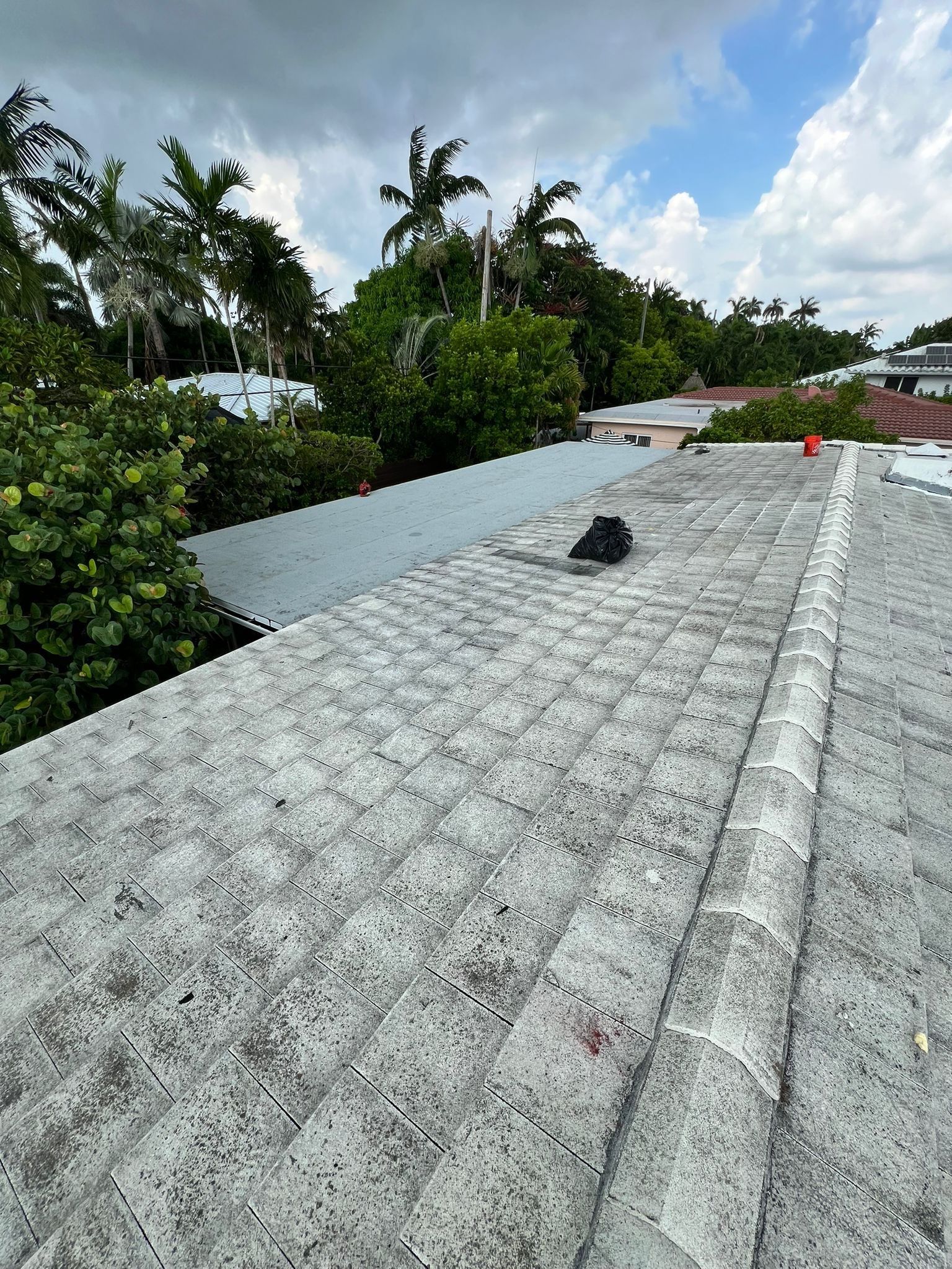 Residential Flat Roof Repair by The Goat Contractor ( Giampri Corp)