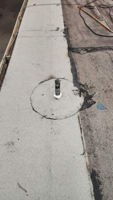 Project in Largo