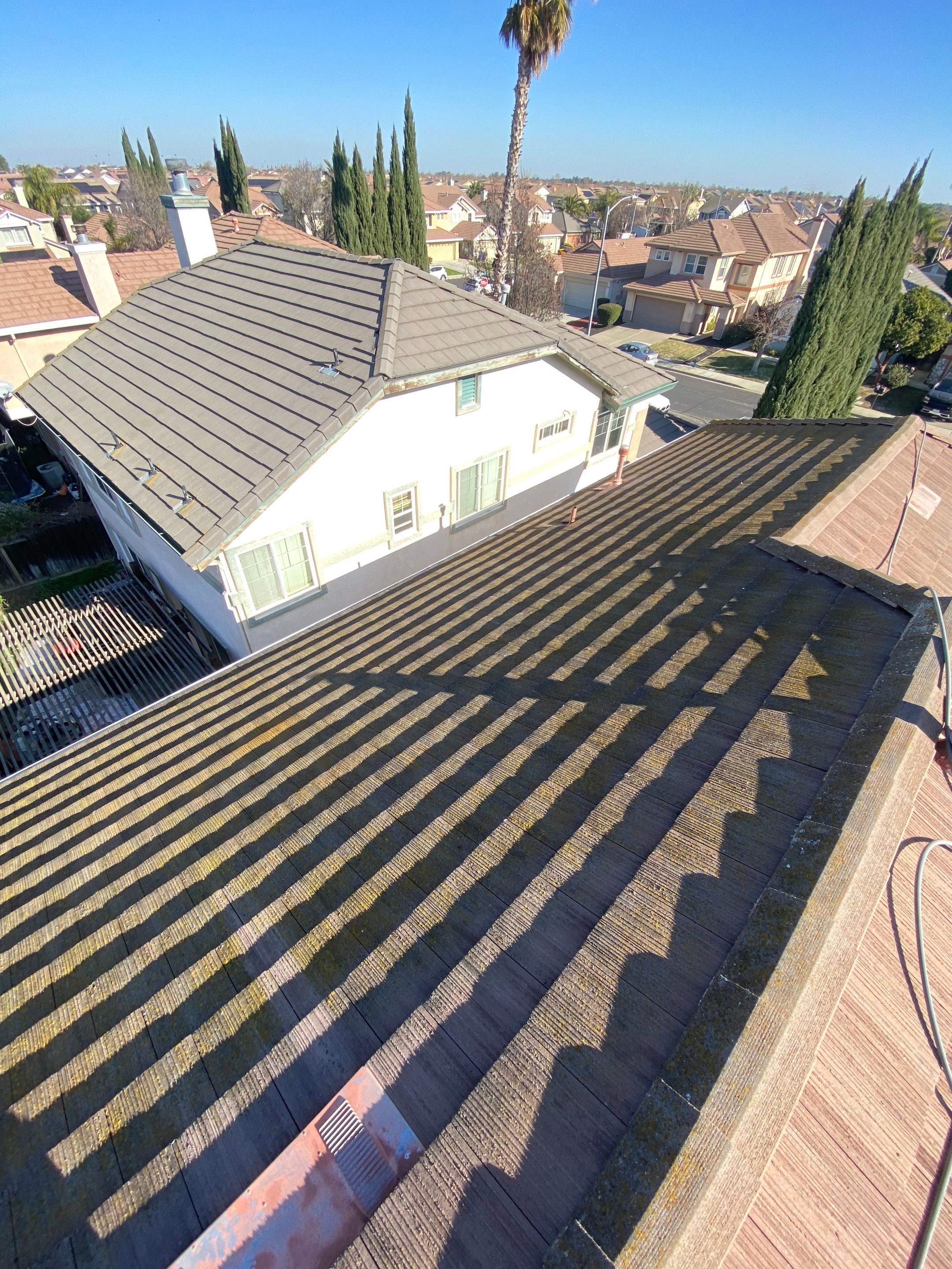 Moss Removal by Top Elevation