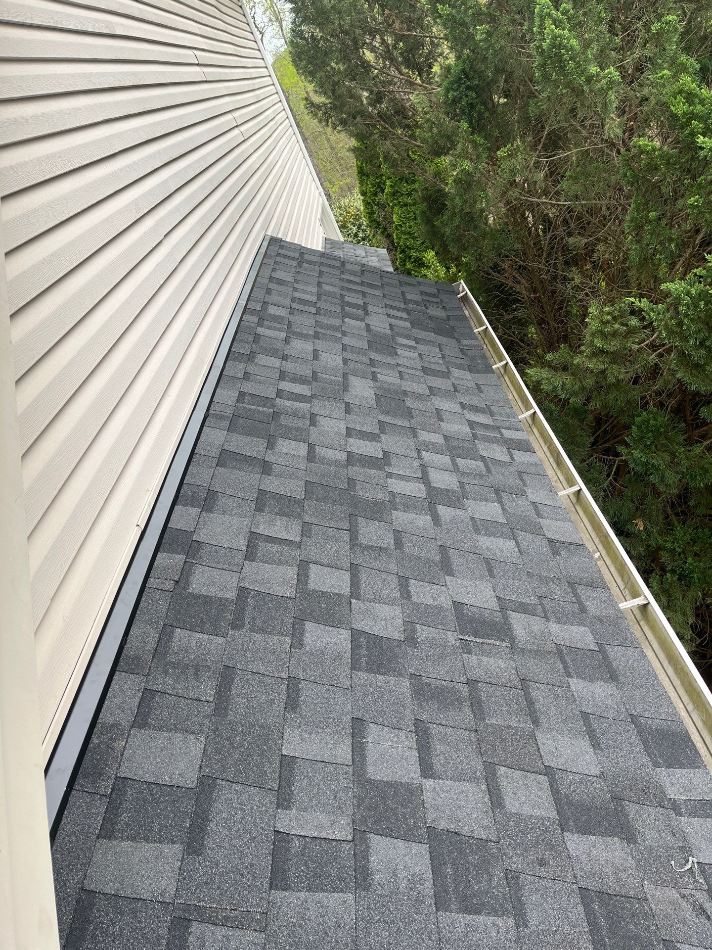 Springfield: CertainTeed Landmark Pro Designer Shingles in Max Def Moire Black by RM Banning, Inc.