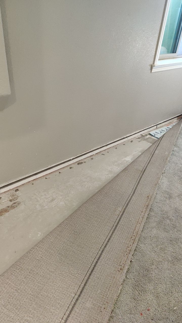 Mold Remediation  by Accountable Home Services