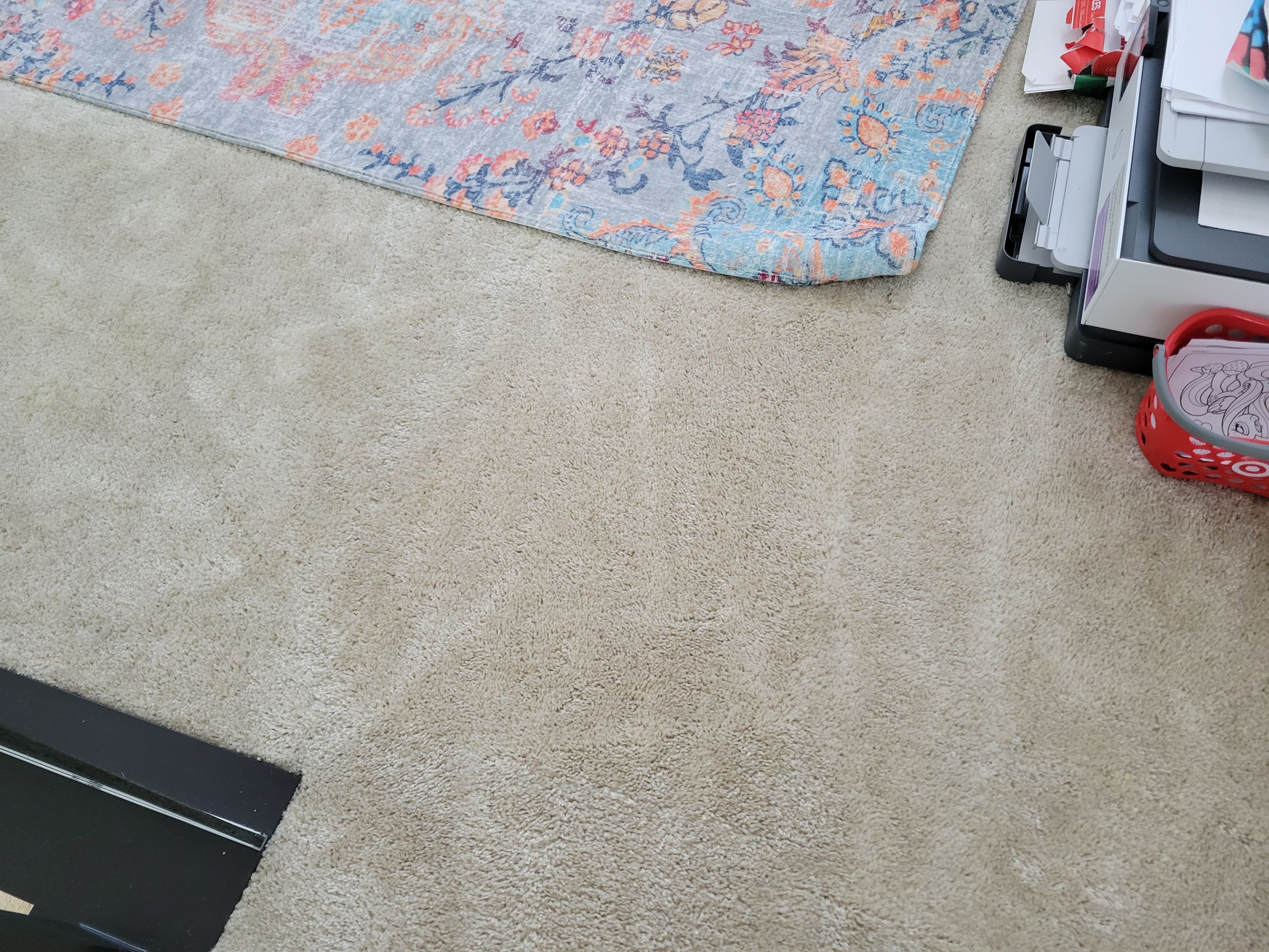 Carpet Repair of Paint, Stain & Bleach by Ardent Carpet Restore LLC